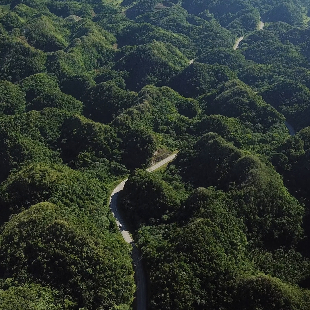 Cinematic LUT Pack for DJI Drones Videos – D-Log M Footage