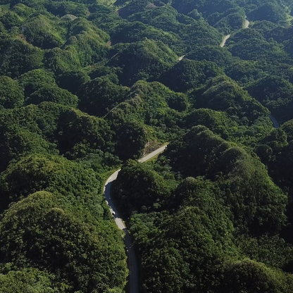 Cinematic LUT Pack for DJI Drones Videos  – D-Log M Footage